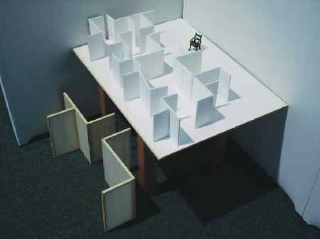 Maze model